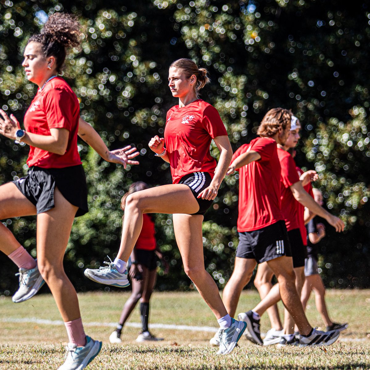 JaxStateXCTF's tweet photo. 📍 Spartanburg, S.C.

#StayCocky 🐔 | #FearTheBeak 👌 https://t.co/FsQvgHgC3T