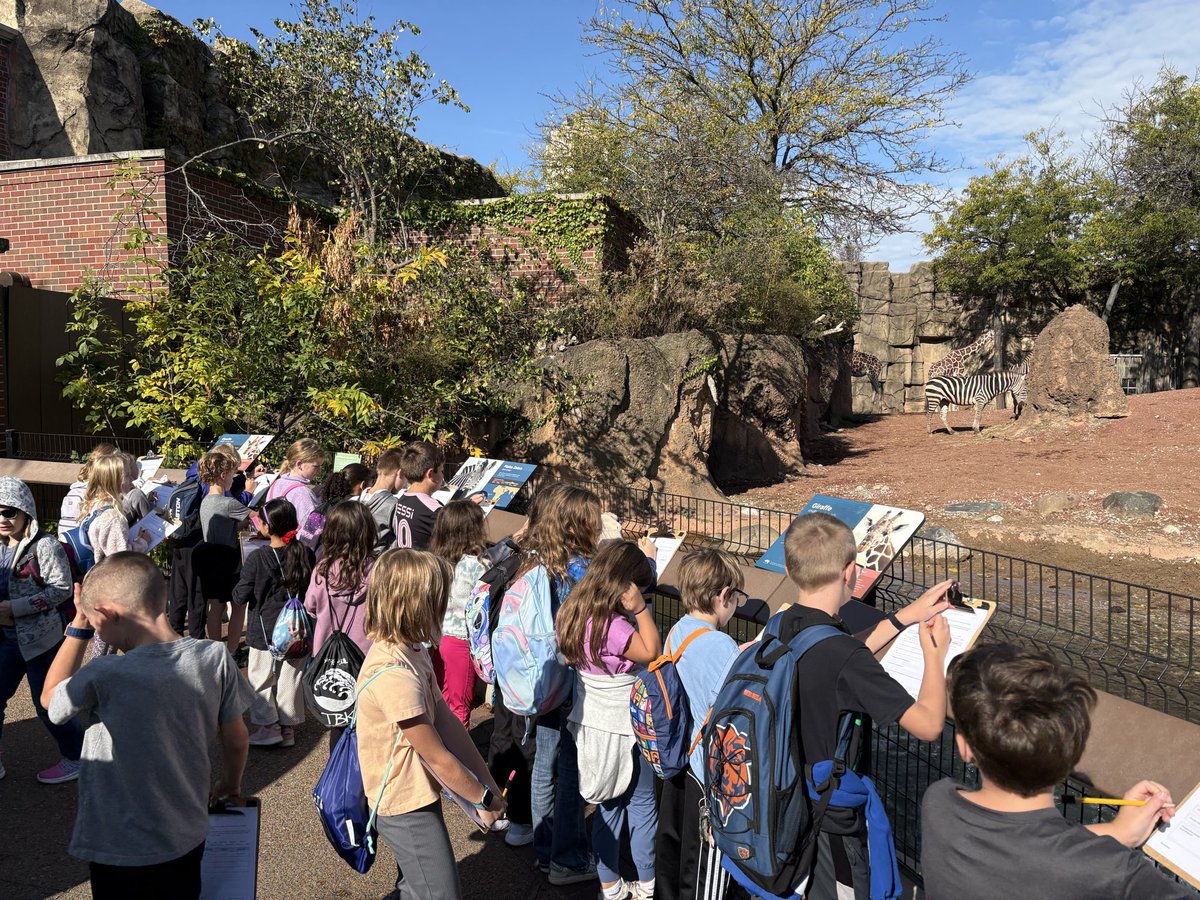 Melissa Swallows tweet media