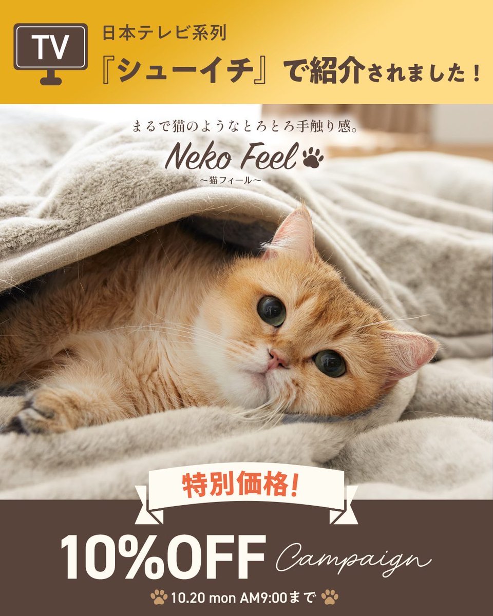 ☝️🐱メディアでも話題🐱☝️ さわった瞬間「猫⁉︎」「これうちの子