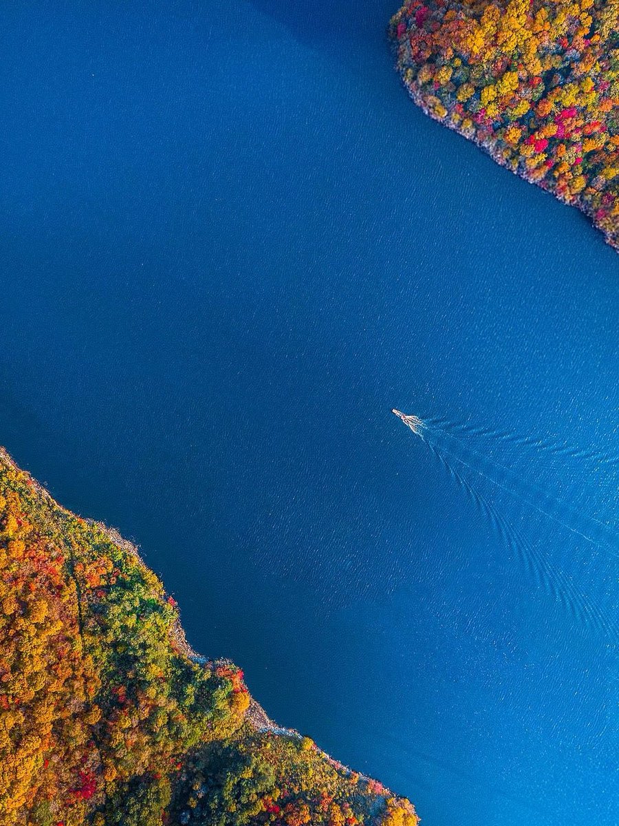 HYF98334204's tweet photo. 湖光秋月两相和，潭面无风镜未磨。🍁 https://t.co/OSTtvpCG8w