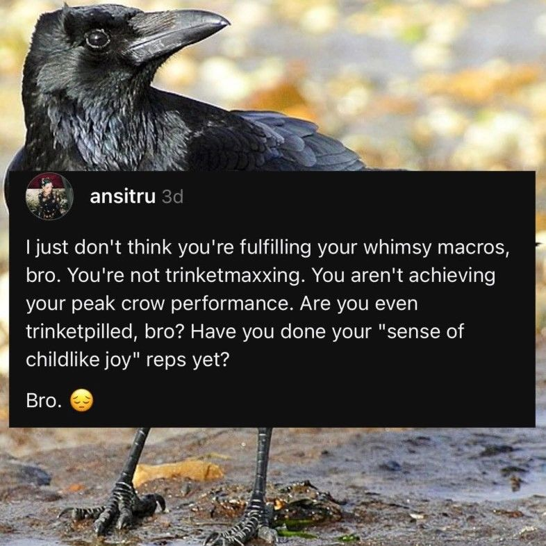 𝖈𝖍𝖆𝖇𝖆𝖟𝖎𝖙𝖊 tweet media