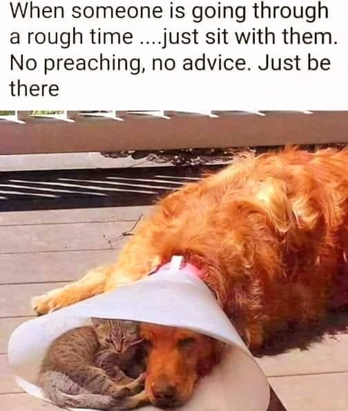 WholesomeMeme's tweet photo. https://t.co/Y1gLyFwOW8