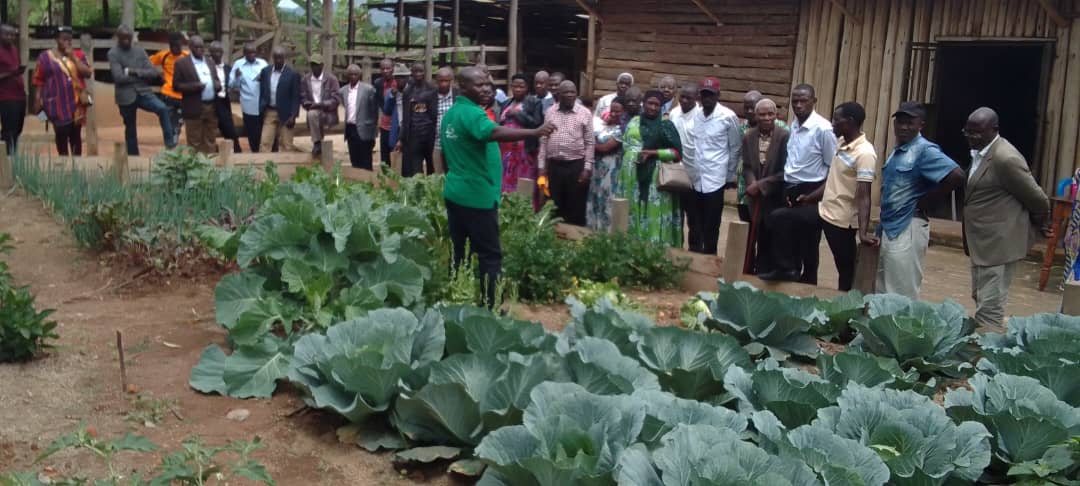 We're working across sectors and generations by teaching farmers from different households at our demo farm <a href="/HungaCentre/">Hunga Agro Centre:</a> with sustainable agricultural practices, boosting incomes through nutritious crop cultivation and promoting household food security for healthier communities.