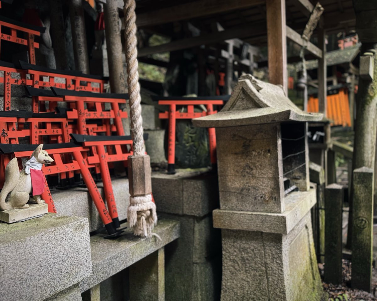Location…Kyoto City, Kyoto 
鮮やかな朱色が美しい
伏見稲荷大社の千本鳥居⛩️
#LeicaLUX  

#写真好きな人と繫がりたい
#streetphotography