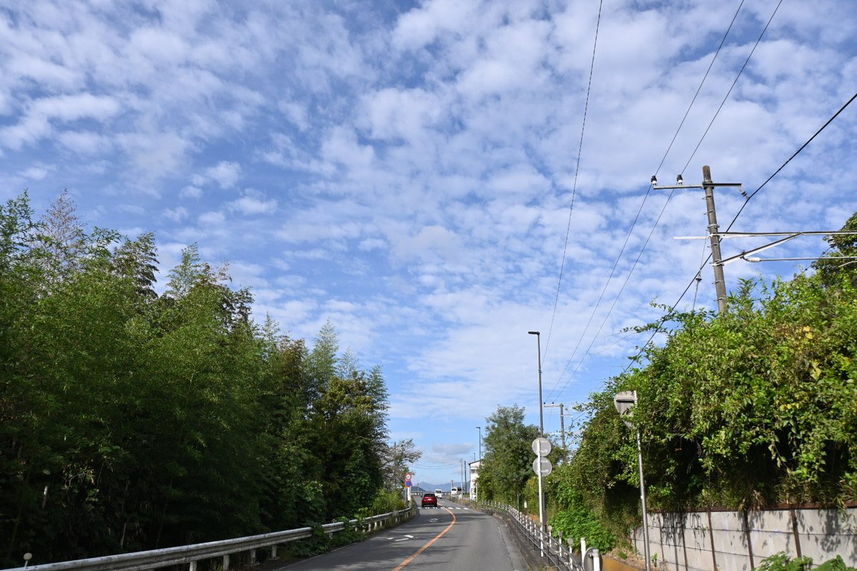 歩き旅ます
秋～～～～～！！！サイコ～～～～～～～～～～！！！！！！！