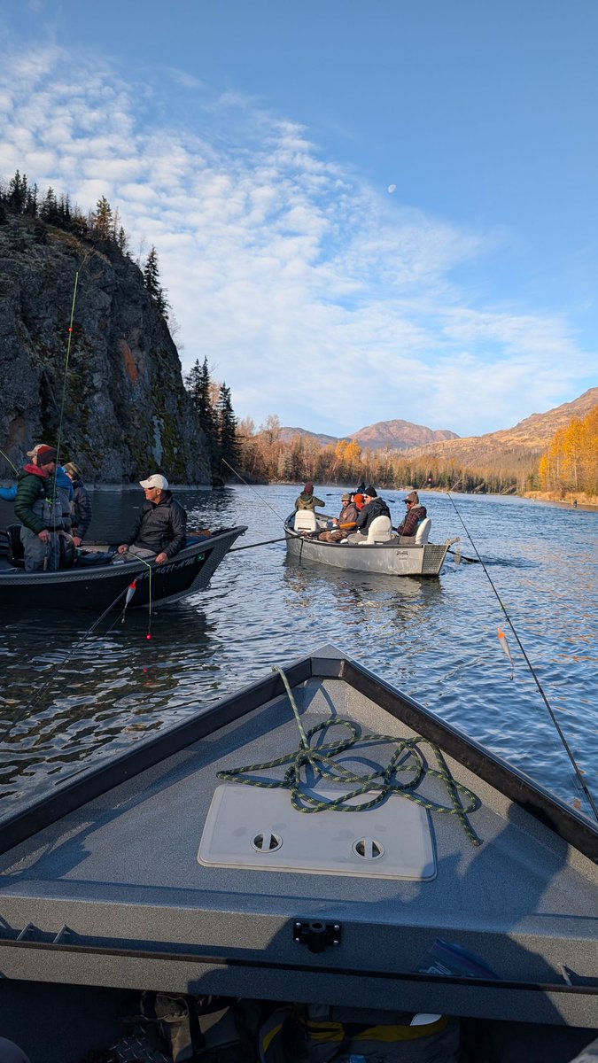 browngnar's tweet photo. Always a good day up in Alaska with good friends and rainbow fishing. 

#alaska #fishing https://t.co/Uj2qoZGna0