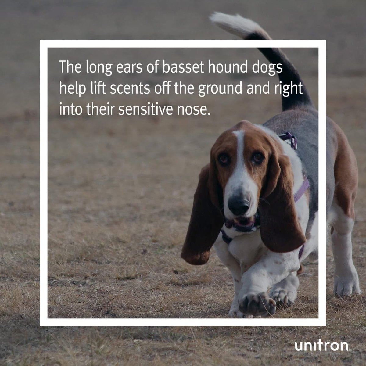 LoveYourEarsHHC's tweet image. Hearing Facts Friday👂

#hearingfacts #unitron #haltonhearingcare #earwaxremoval #hearingaids #hearingprotection #theheathbusinesspark #runcorn #frodsham #helsby #kingsley #elton #halevillage #widnes #supportlocal #supportsmallbusiness