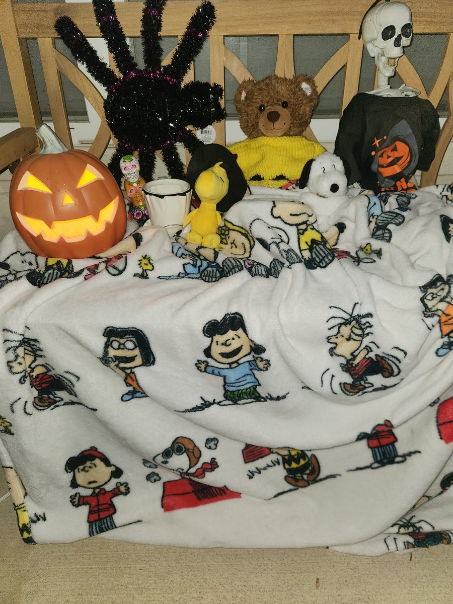 Last night Teddy Bear Lucas spent the waiting for the Great Pumpkin 🎃 #teddybearlucas