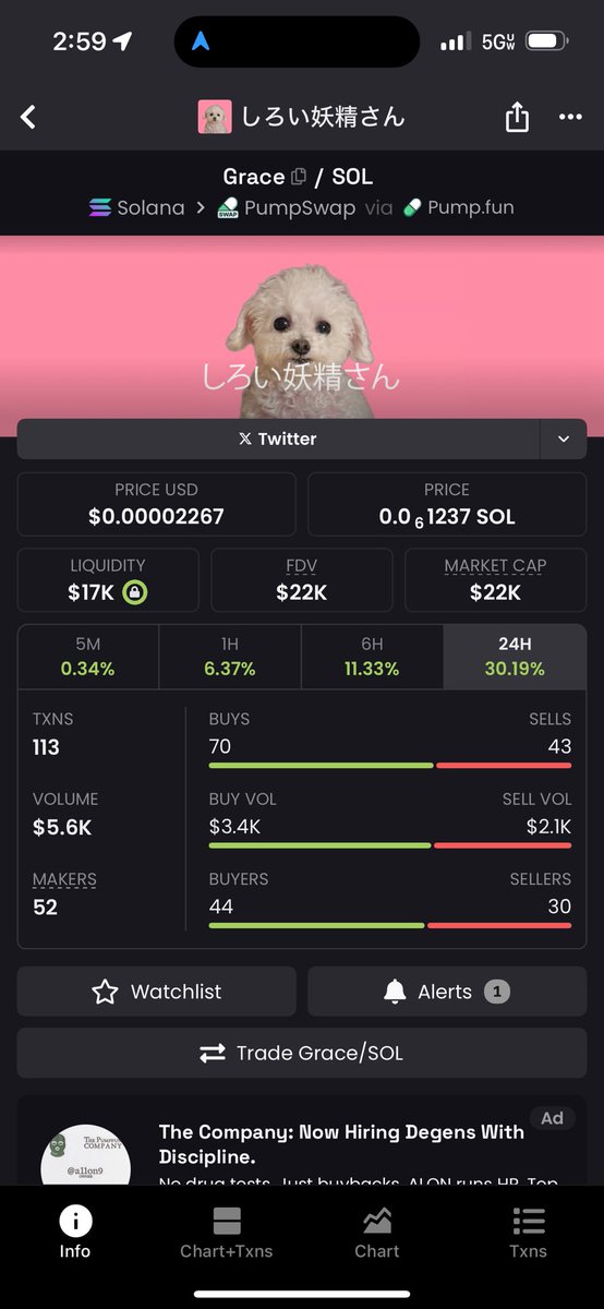 Mr_Do_Righter's tweet image. $Grace is a highly undervalued gem! Litteraly one of the most viral dogs on X all she needs is for a community to rally behind her. Let her be the trenches saving $Grace

E8Tg365aywSsxHvBJPLit7nro19G298Ve8niuBQSpump