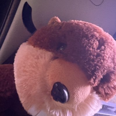 W.M.Johns tweet media