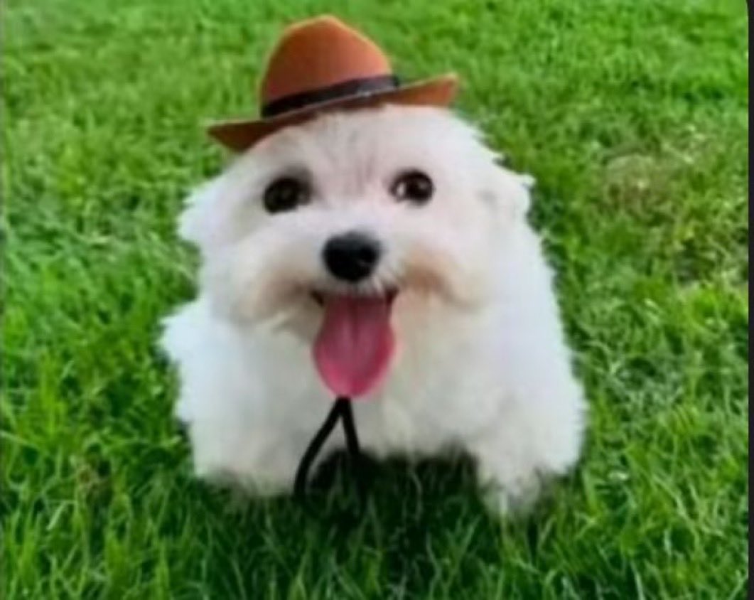 Me, thinking things are gonna be ok: things are gonna be ok!