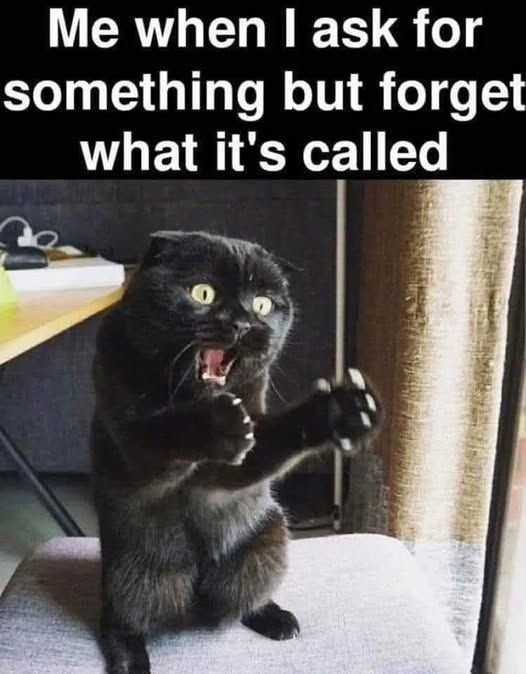 Evee Talk 💚 tweet media