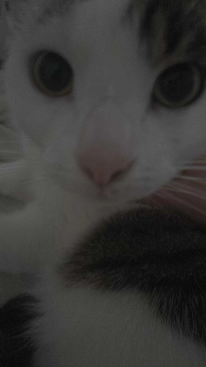saw mme (@47dh24) on Twitter photo 