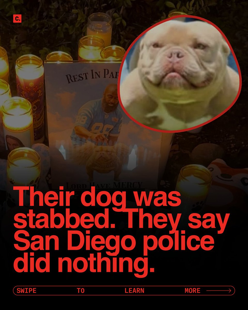 Change.org tweet media