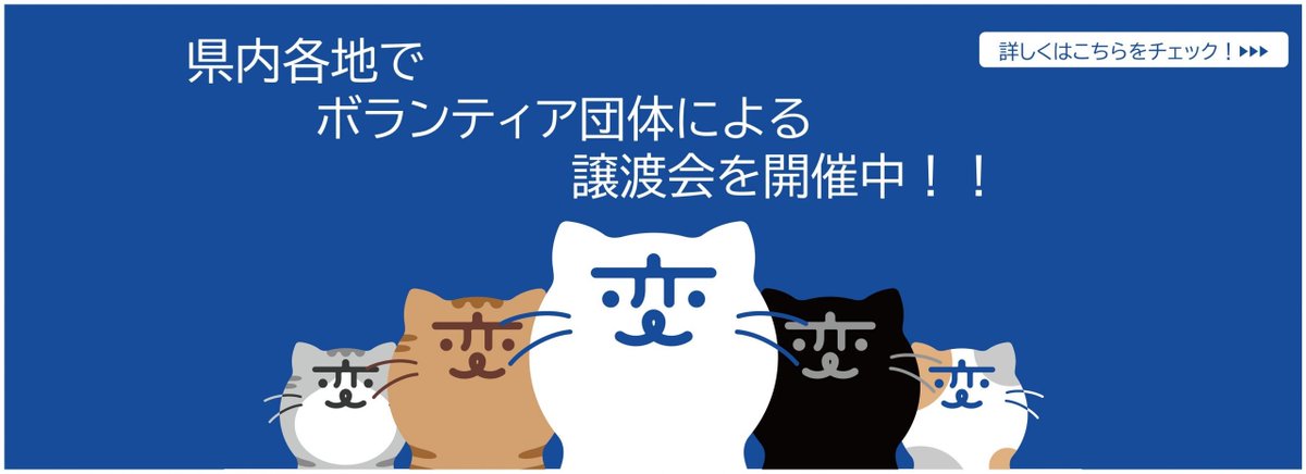 ニャン太様ご依頼品おまとめ12点 ニャン太様ご依頼品おまとめ12点 ニャン太様ご依頼品おまとめ5点