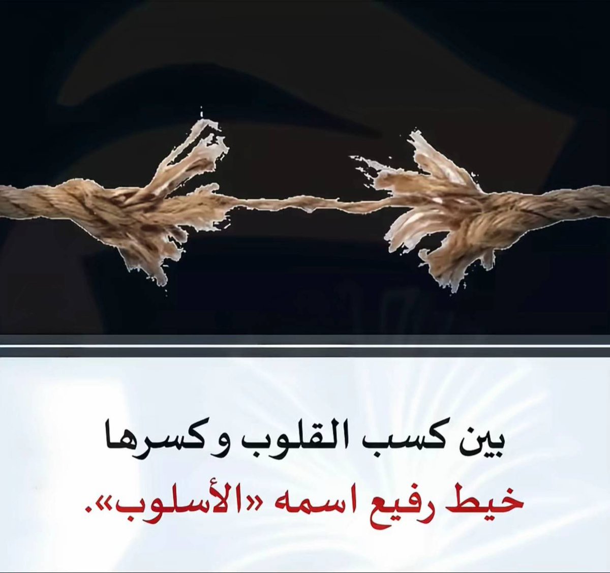 𝕯𝖆𝖑𝖔𓀗 (@ssaf28) on Twitter photo 