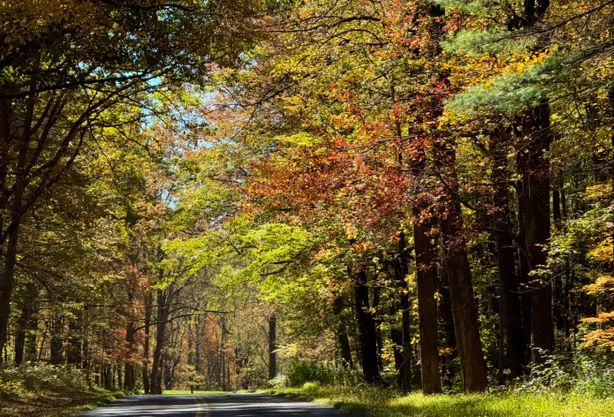 Leaves may not be at their best this year, but it was a nice, albeit brief, visit to the Blue Ridge.