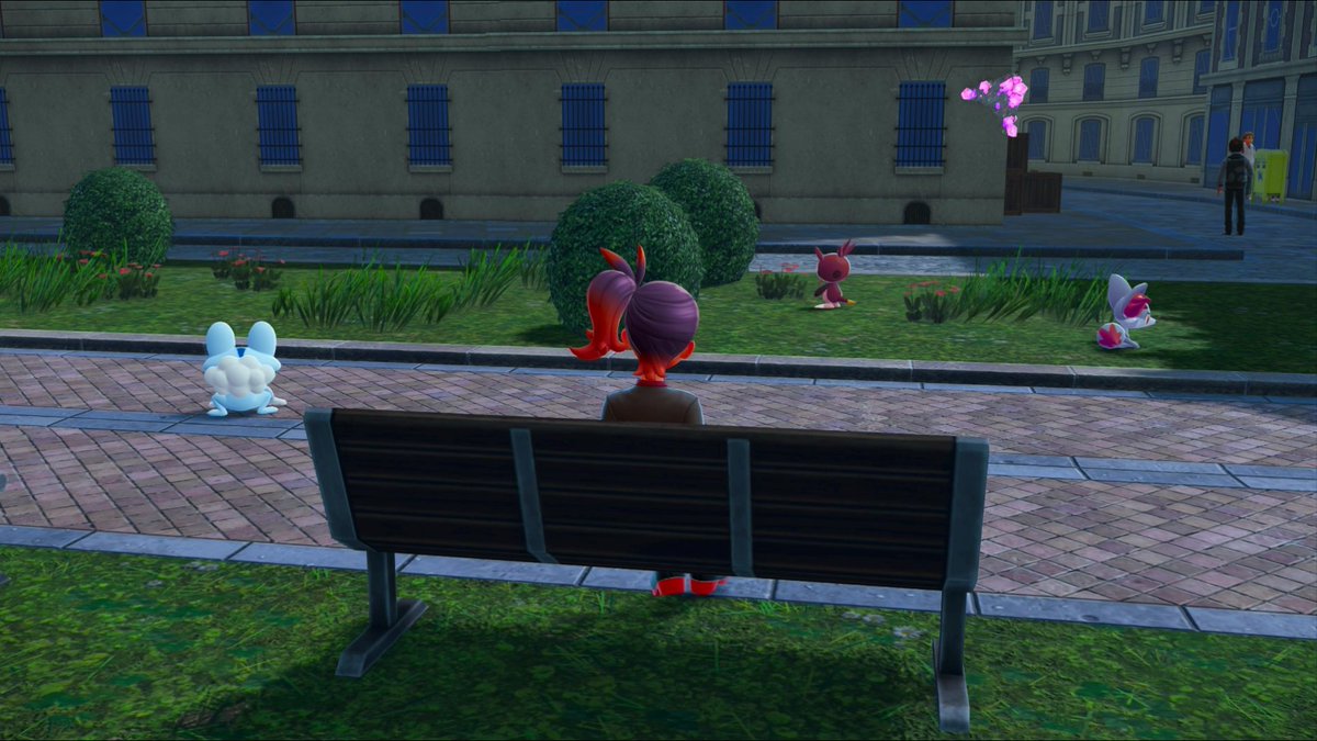 Diamouxx Paladin Écureuil tweet media