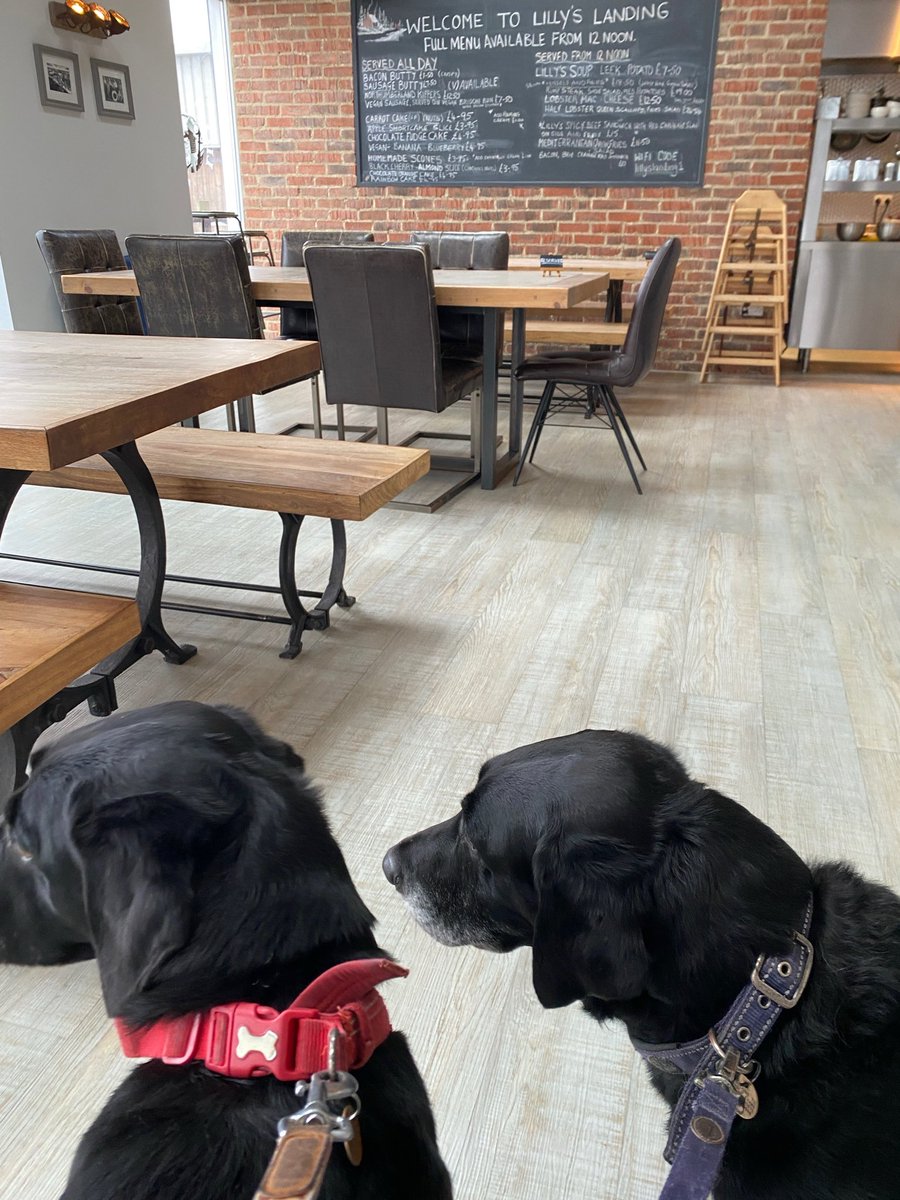 Apparently Frank and Bert went out for coffee today!