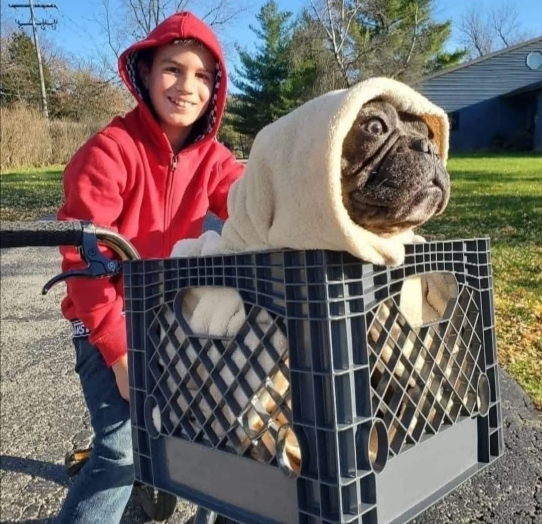 Chiudiamo tutto, ha vinto lui.