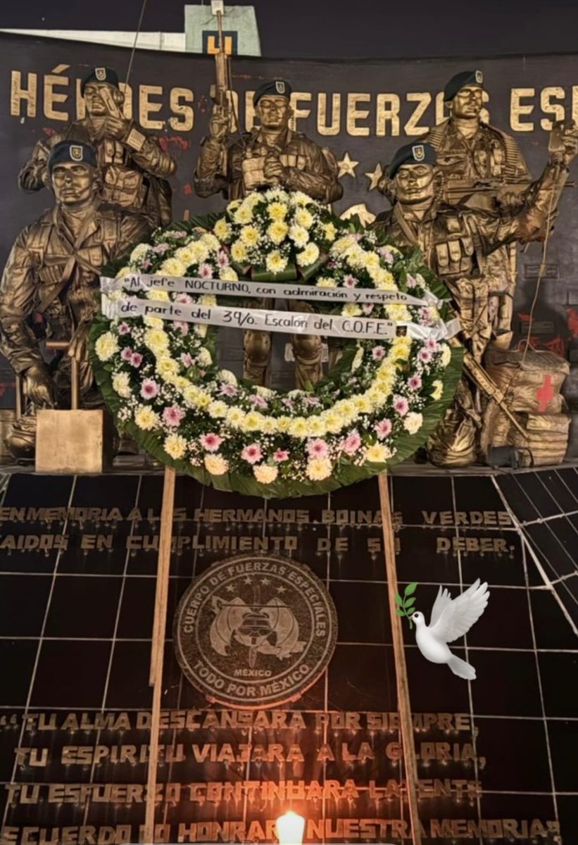 foro_militar's tweet photo. Vuela alto compañero Murciélago 🪖🇲🇽🫡🦇🦇🦇 https://t.co/SodqTnu5R6