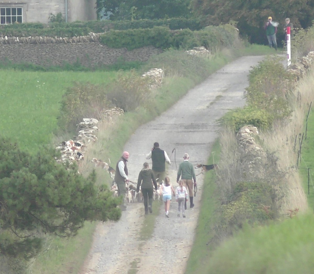 SevernValeSabs's tweet image. #2 from Sat; Severn Vale Beagles at Kington Down Fm. The disappointed hunt packed when they saw us. Nick Tuck (convicted of awful crimes, see post below) was whipper-in for them. The levels they stoop to.

Please consider donating so we can keep at them  gofundme.com/f/severn-vale-…