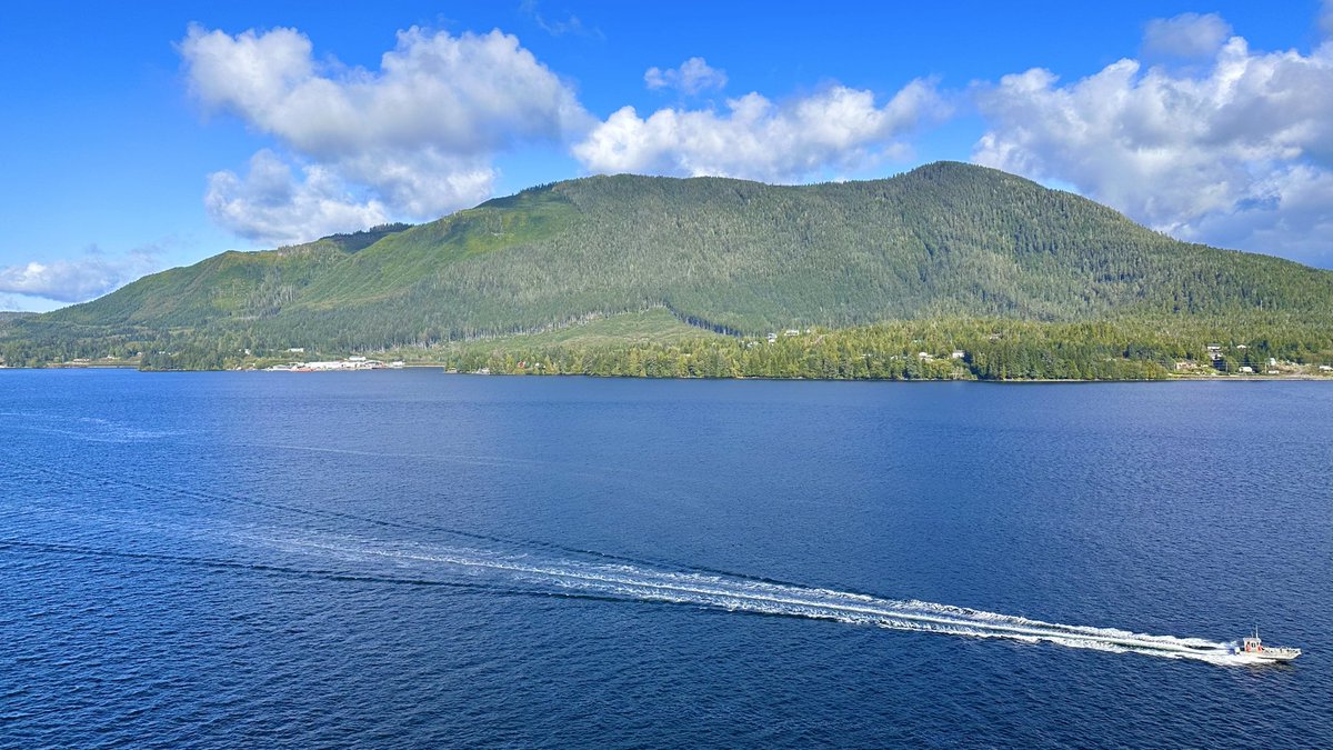 Monica H. tweet media