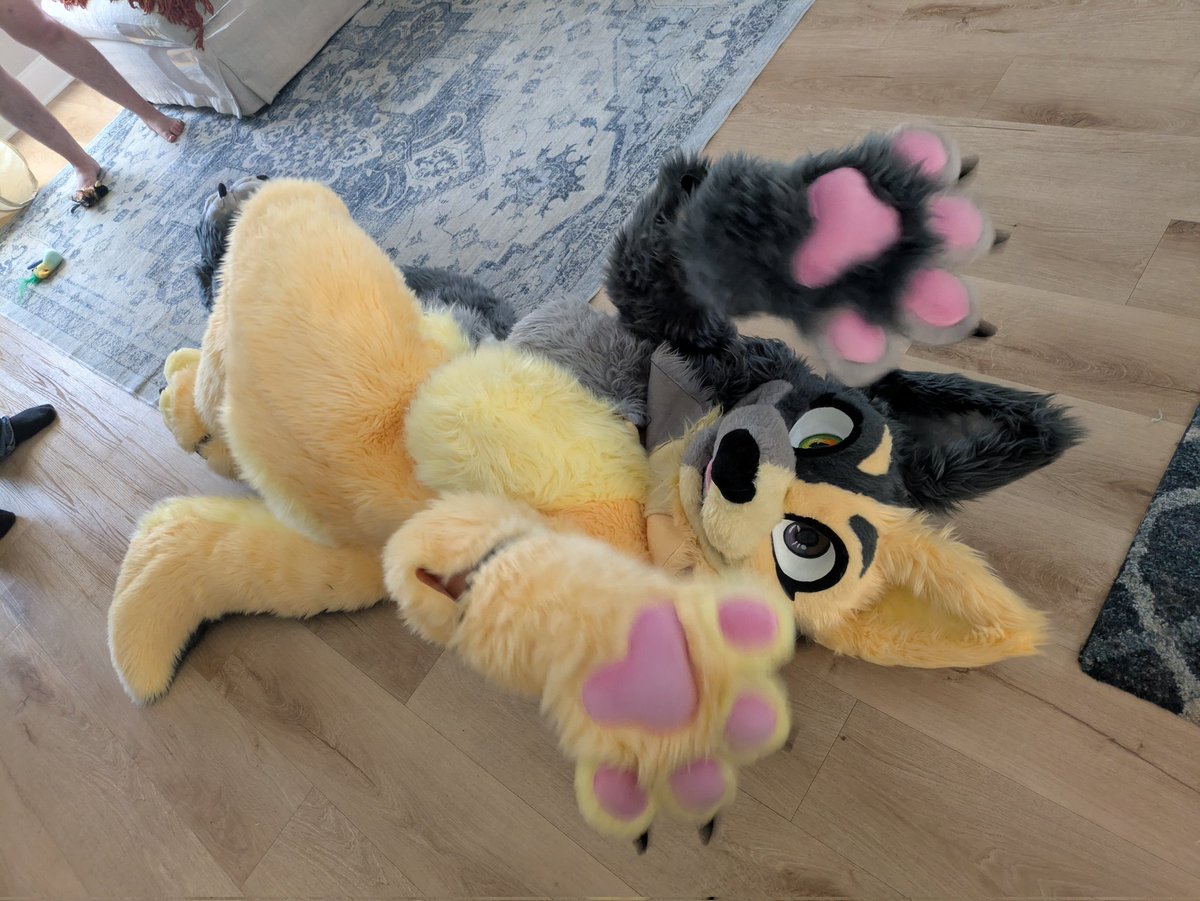 jellybeansuits tweet media