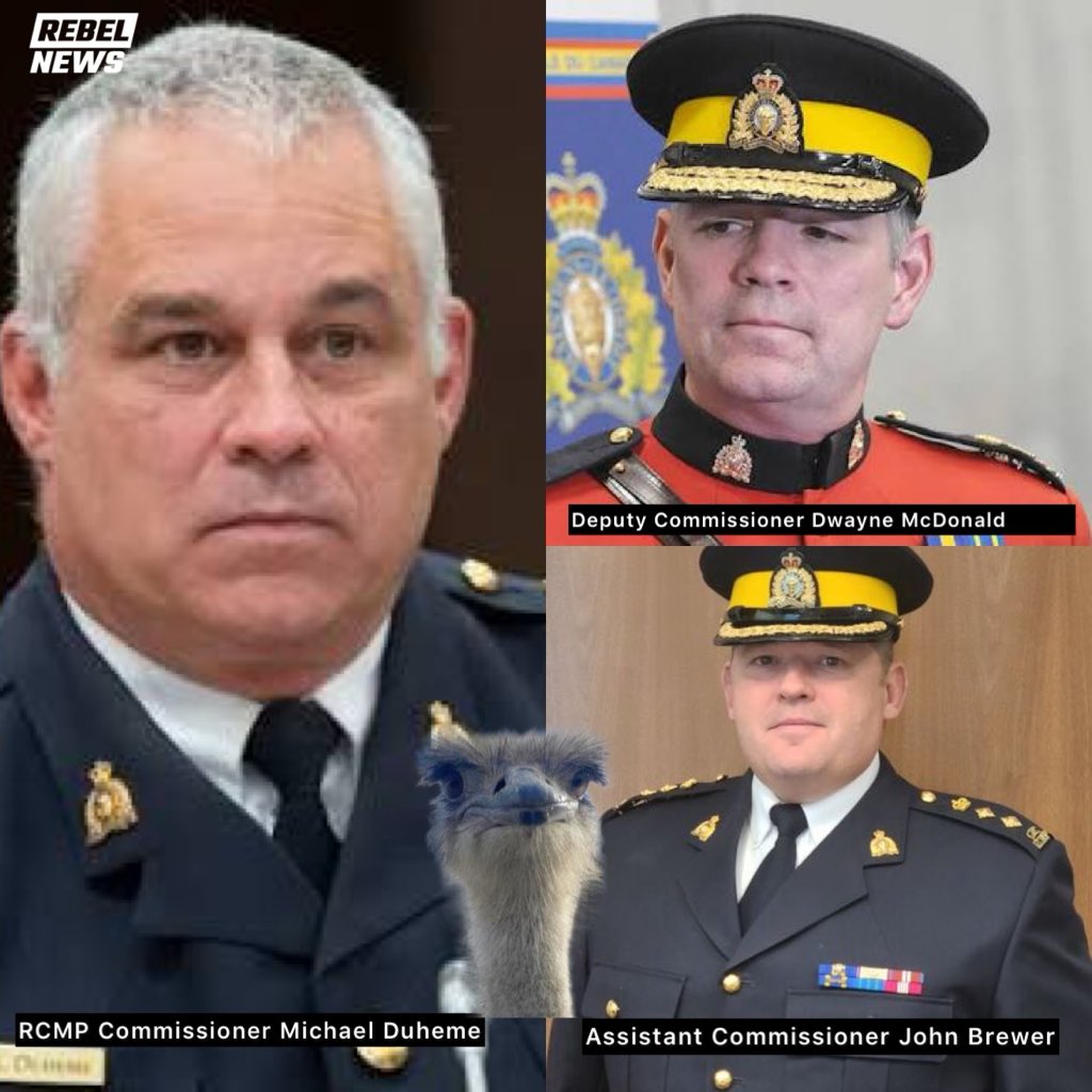 OSTRICH FARM RANT Cont’d:

What’s the RCMP still doing there?

Don’t they have a fentanyl lab to bust or an extortion shooting to solve?

Instead, officers have been deployed from across B.C. to babysit the CFIA on land that never should’ve been seized before the court’s had its