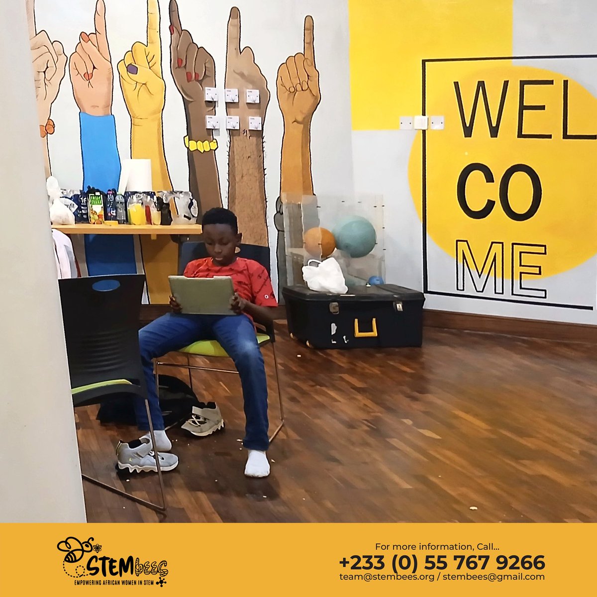 STEMbees tweet media