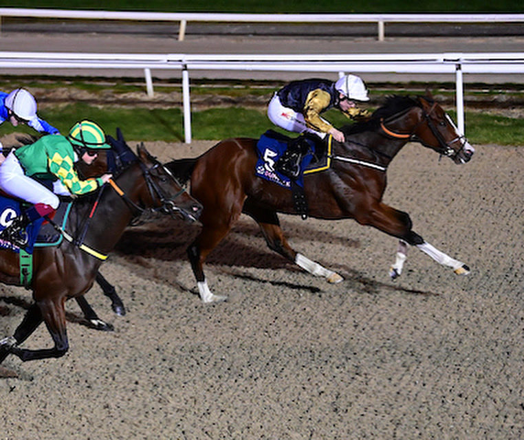 Harty Racing tweet media