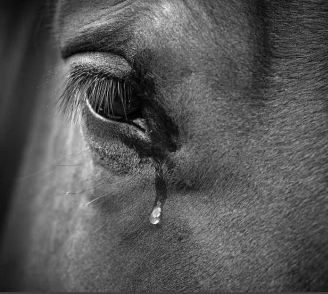 Keşke anlatabileceğin kadar rahatlık sağlayabilseydim sana.