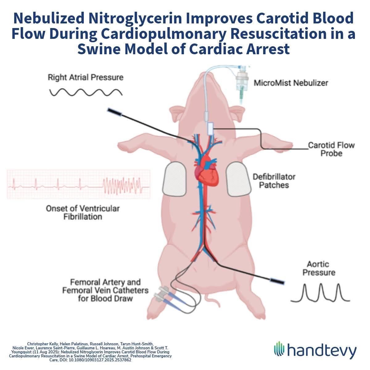 shmowen morgs tweet media