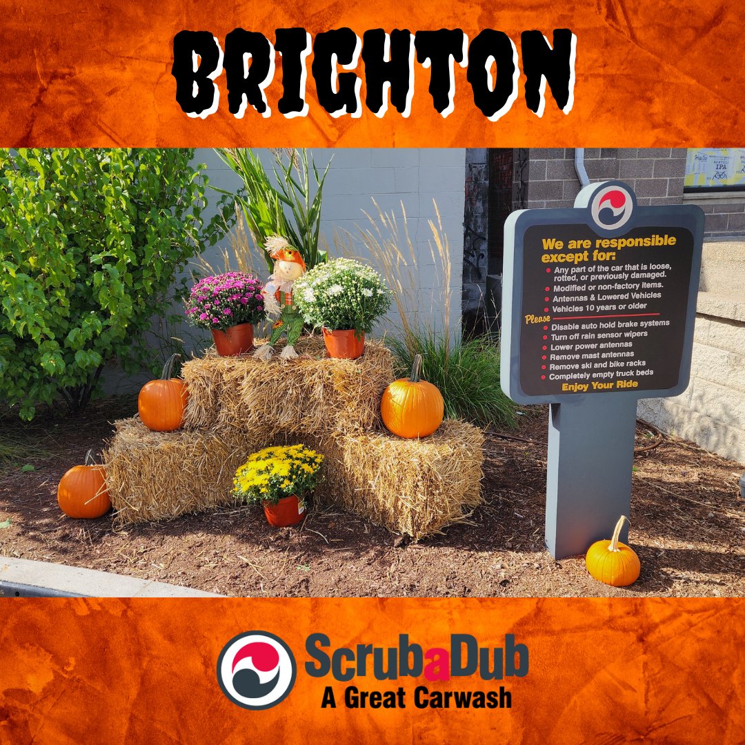 ScrubaDubCarWsh's tweet image. 🎃 Halloween is getting close… and our Brighton and Chelsea locations are ready for it! From pumpkins and scarecrows to spooky cobwebs and skeletons, our sites are all dressed up for the season. 🍂🚗
#ScrubaDub #CleanCar #HalloweenReady #CarWash