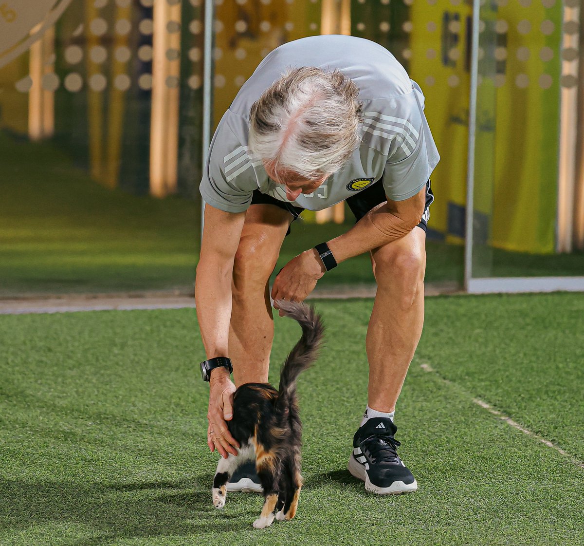 AlNassrFC's tweet photo. 🐈😂 https://t.co/qpk0fkcT6q
