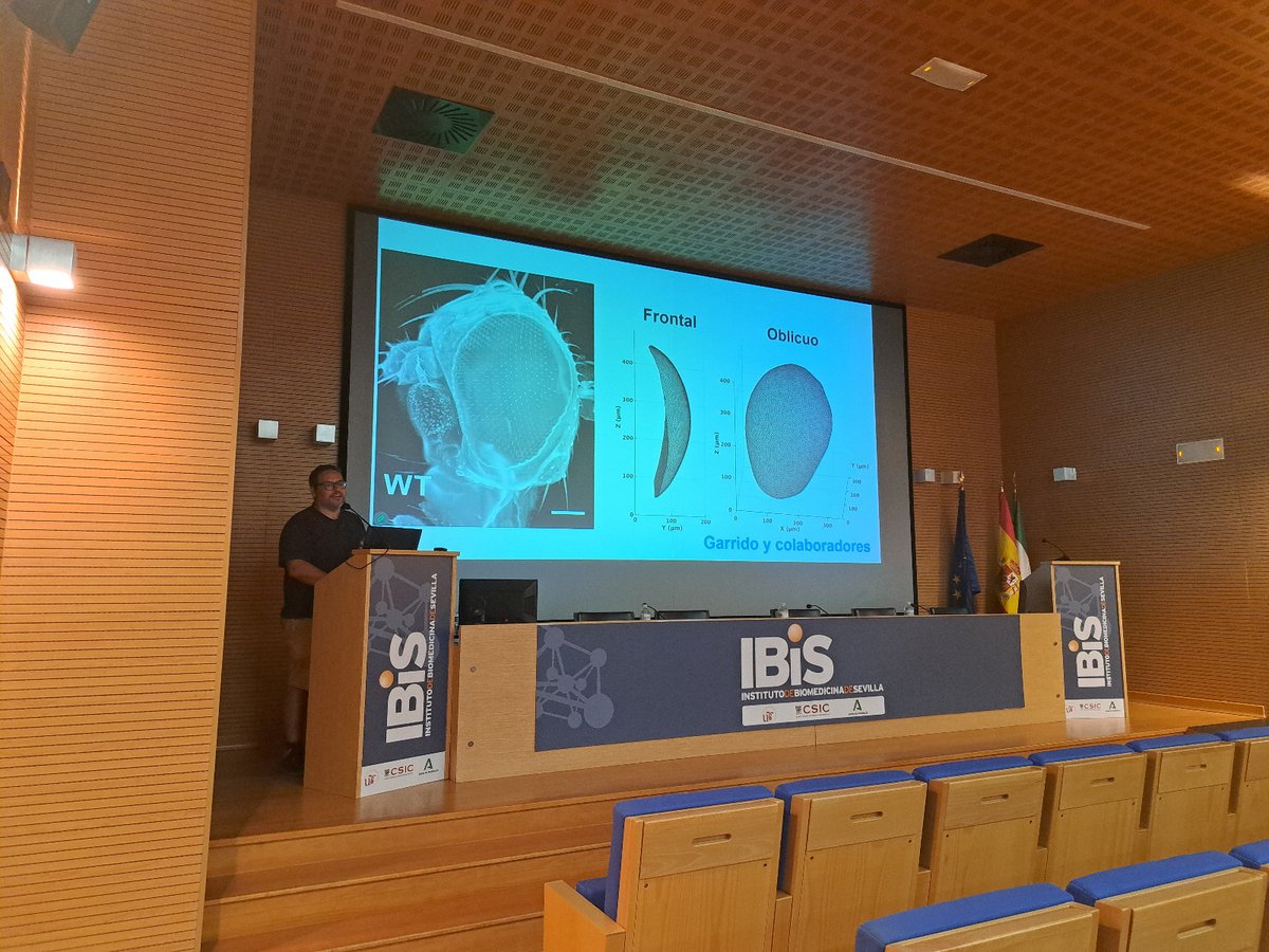 ibis_sevilla's tweet photo. 🟠 SCIENCE| 

Hoy en las III Jornadas de Divulgación Científica hemos disfrutado de las charlas “El mundo ante tus y sus ojos” de la Dra. @ConchiLillo y “Doble Doblez” del Dr. @lmescu.

¡Gracias por compartir vuestro conocimiento y divulgarlo de forma tan amena! 🔬

(abrimos 🧵) https://t.co/2e45cb4Ipv