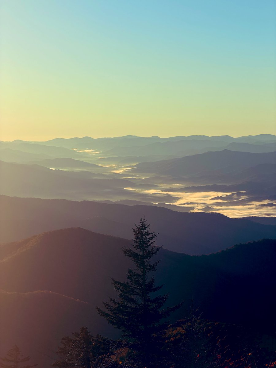 NCBN0393's tweet image. #GreatSmokyMountains 🌄🏔️💨

Misty peaks, fluffy clouds 😍🔥🌫️  
Wild vibes runnin'! 🦅✨  
#fallcolors