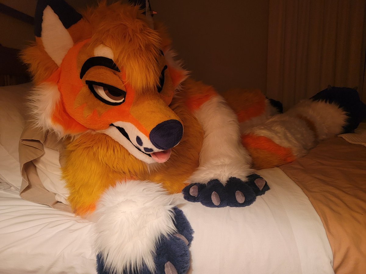 It's the dog's bed now 

#FursuitFriday