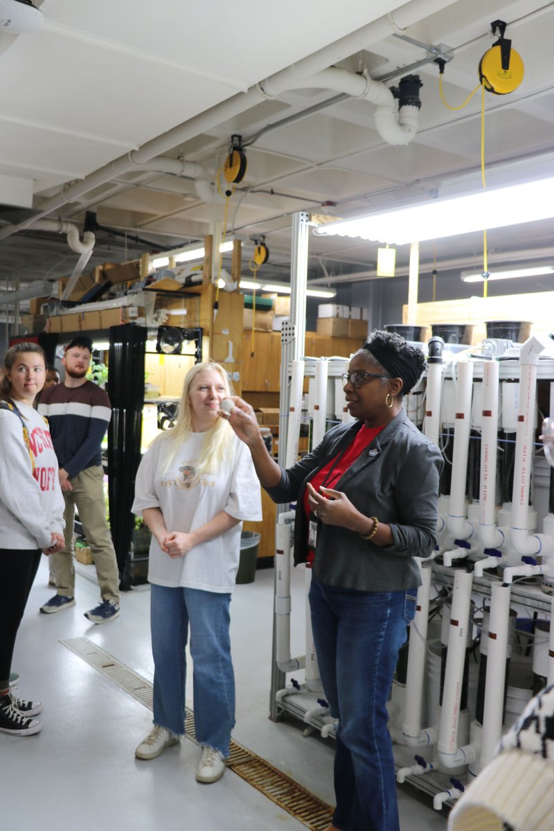 NC State BAE tweet media