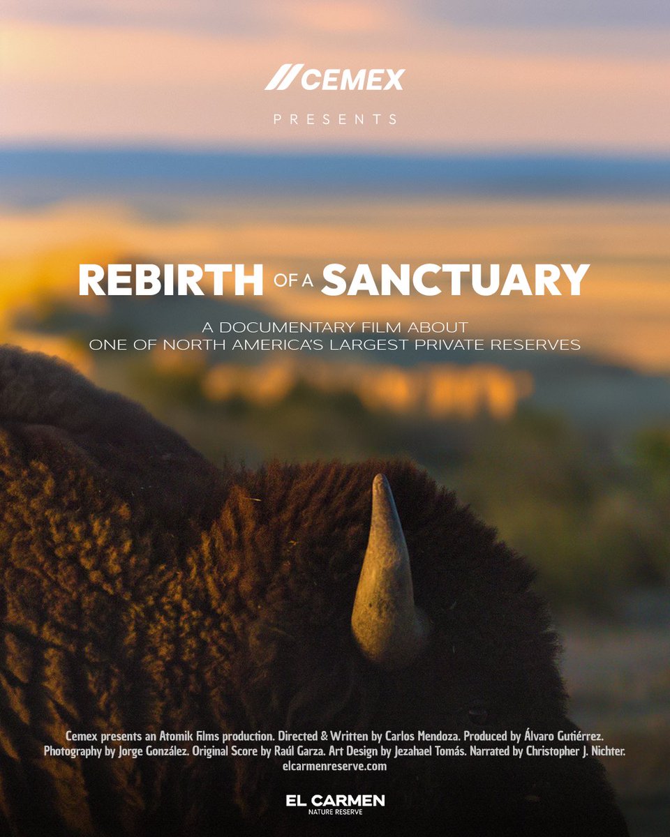 Cemex Global tweet media