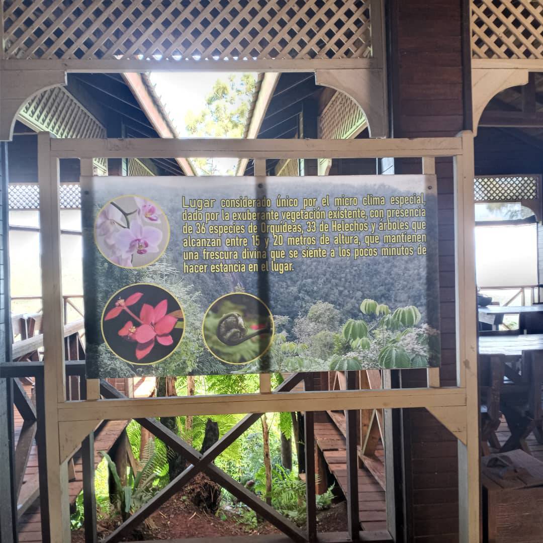 La belleza natural de #CubaÚnica en su máximo esplendor.

Disfrútala con #ViajesCubanacán y vive momentos inolvidables de la mano de los expertos en brindarte las mejores experiencias de ocio y esparcimiento.

Tu disfrute, nuestra pasión.

#ATuLado #travel #turismo