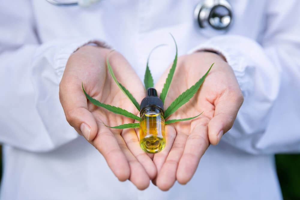 ConPsicoactivas's tweet photo. Durante años, el miedo y desinformación han estigmatizado a la planta de cannabis. Sin embargo, hoy, la ciencia, educación y medicina dan un giro.
#CannabisUNAMIQ
#DelEstigmaALaEvidencia https://t.co/RE2dTJN5TO