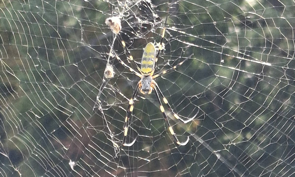 KenDATL1's tweet image. Seriously, fuck these guys!