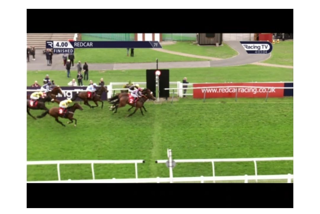 DG_DMAC's tweet image. Rapido girl 11/1 🥇
Bambalam 11/2 🥇

Two nice winners for members today 🐎🚀