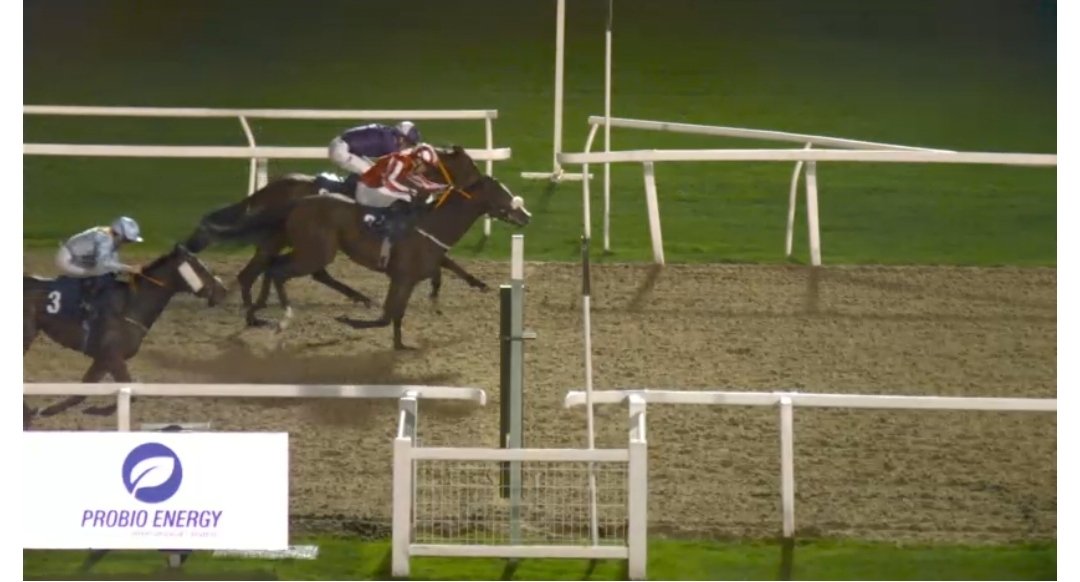 DG_DMAC's tweet image. Rapido girl 11/1 🥇
Bambalam 11/2 🥇

Two nice winners for members today 🐎🚀