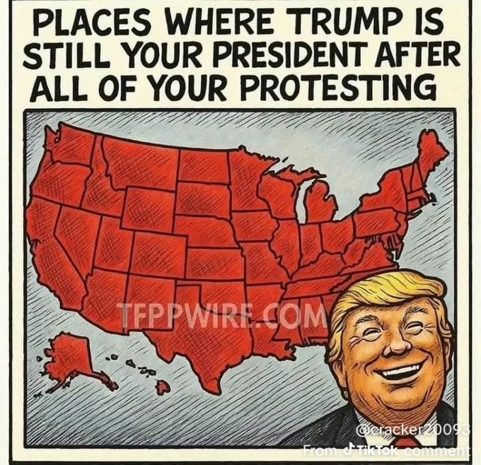 SandraKrafczek's tweet image. 