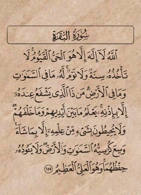 Recite Ayatul Kursiyyu before you go to sleep, and after every Fard Salah. It is an easy path to Jannah in sha Allah...