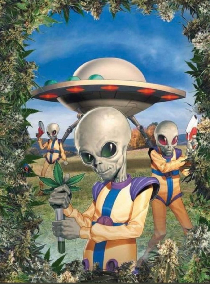 davidchiarelli's tweet image. #Happy420 #大麻解禁運動開始 #Mmemberville #Aliens #UFO #50s #SciFi #Surreal #Psychedelic #Stoners #StonerFam #StonerArt #StonerTunes #WeedMob #420Life #THC #CBD #CBN 🪴👽🪴 Happy 420! 🛸 Follow ⚡️ “Oh #Cannabis Newz y Viewz!” ⚡️ Online ❤️🔥 @davidchiarelli 💨💨💨💨💨