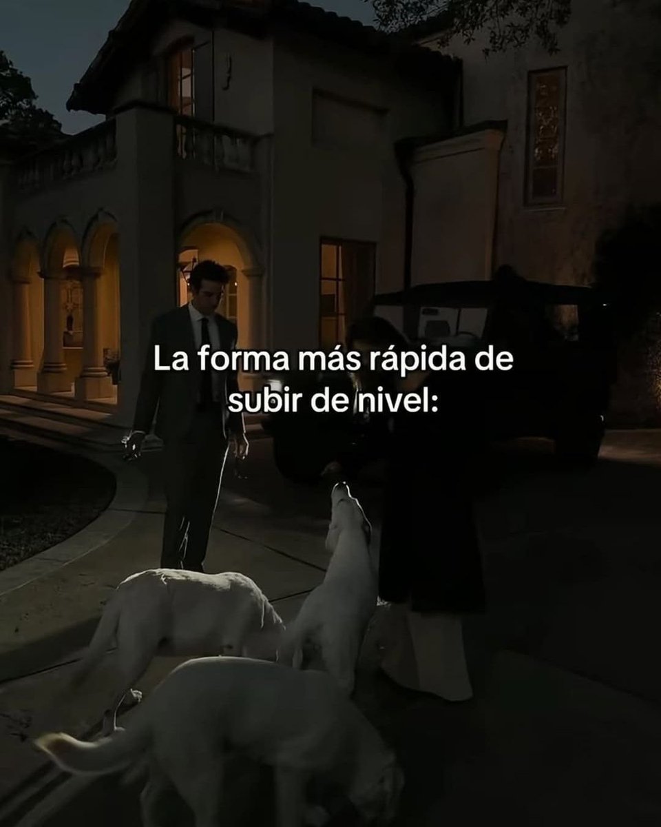 LealtadSabia's tweet image. La forma más rápida de subir de nivel:
- Hilo -