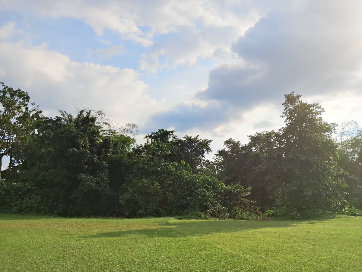 olem(⁠◕⁠ᴗ⁠◕⁠✿⁠) tweet media